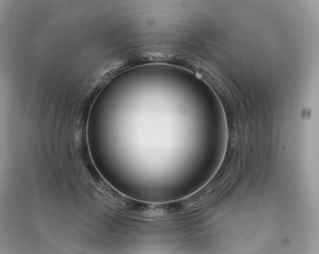 X0000090930604200708131455