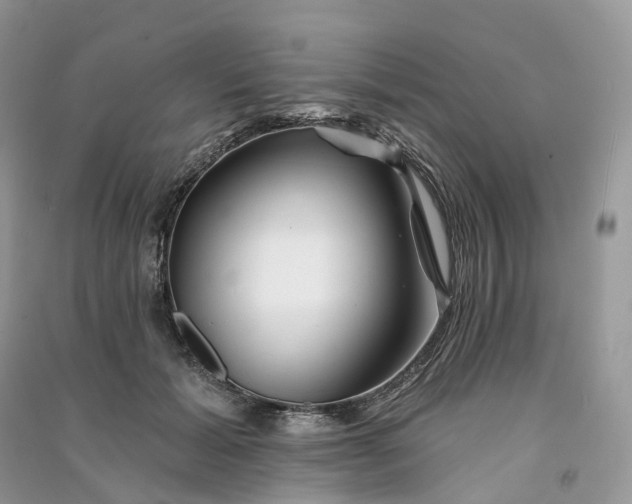 X0000090930605200708131455