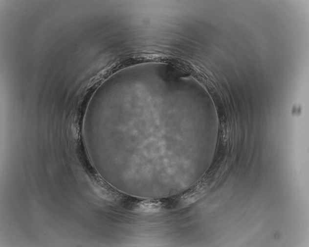 X0000090930606200708131455