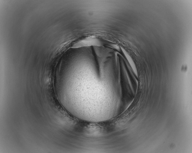 X0000090930608200708131455