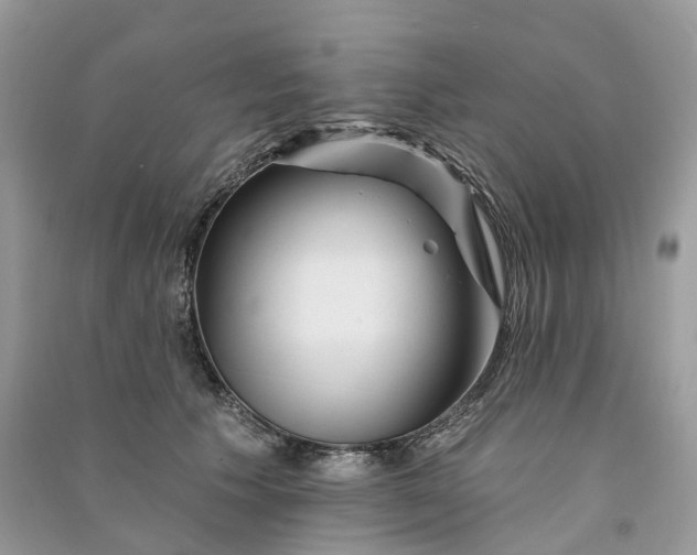 X0000090930609200708131455