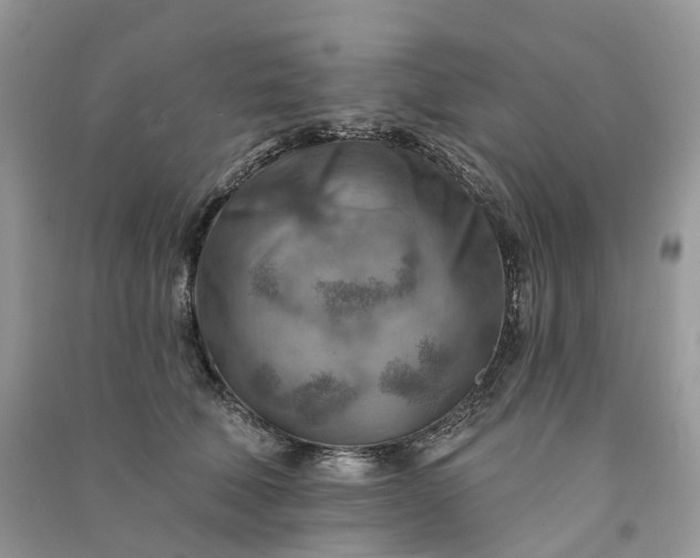 X0000090930610200708131455