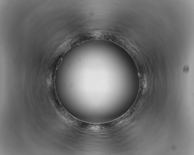 X0000090930611200708131455