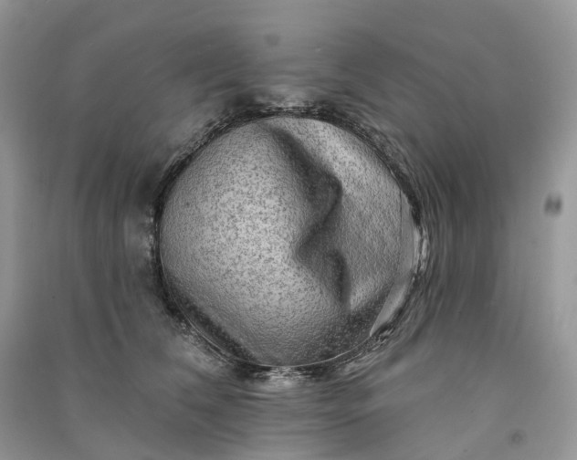 X0000090930612200708131455