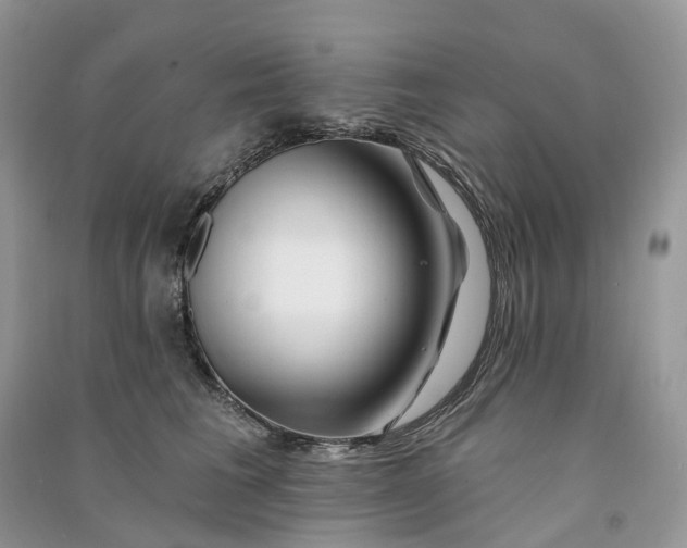 X0000090930613200708131455