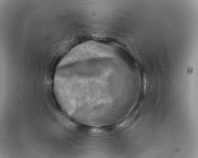 X0000090930614200708131455