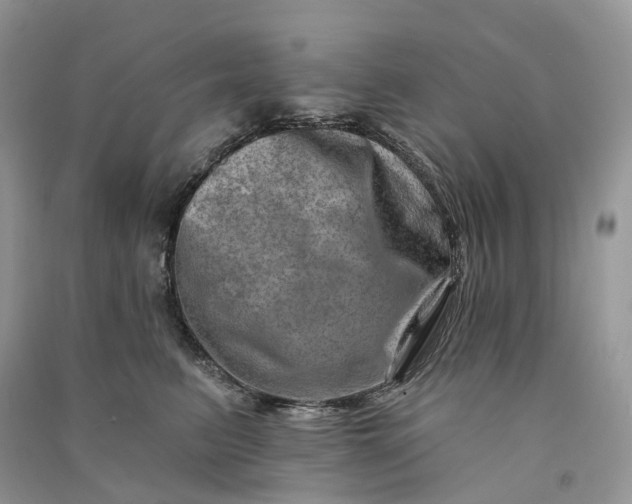 X0000090930615200708131455