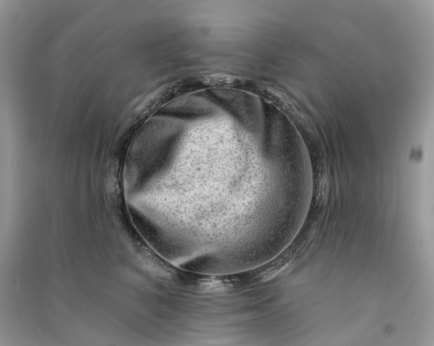 X0000090930616200708131455