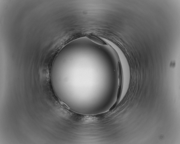 X0000090930617200708131455