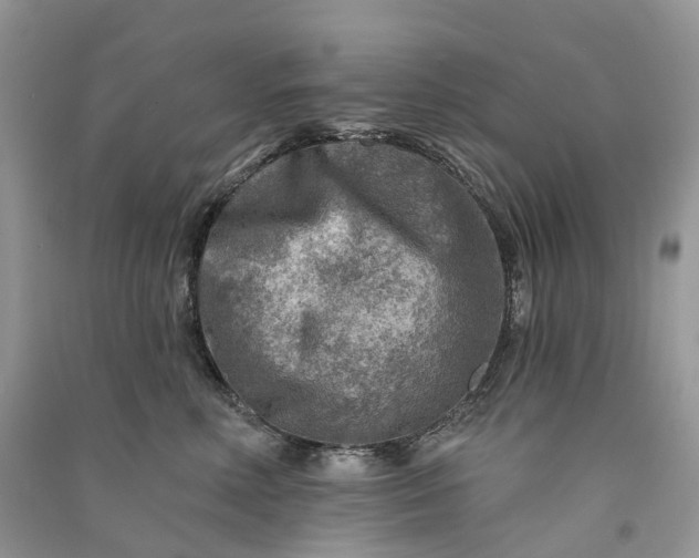 X0000090930618200708131455