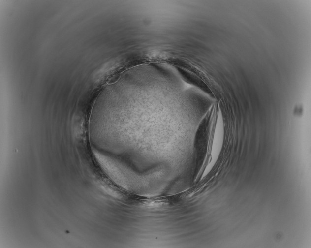 X0000090930619200708131455