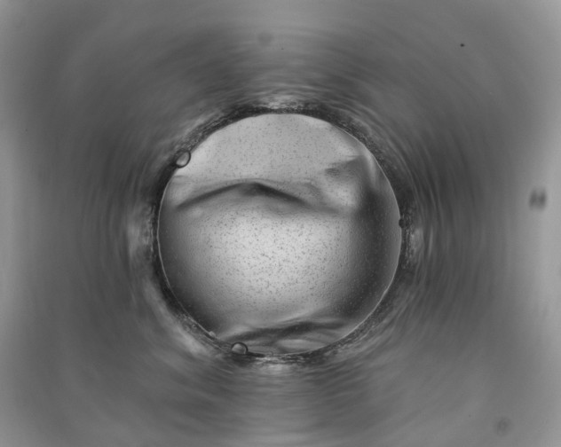 X0000090930620200708131455