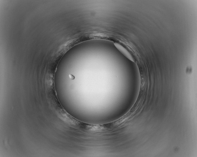 X0000090930621200708131455