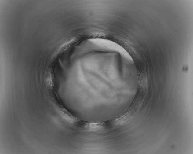 X0000090930622200708131455