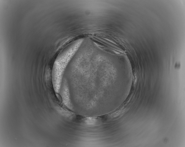 X0000090930623200708131455