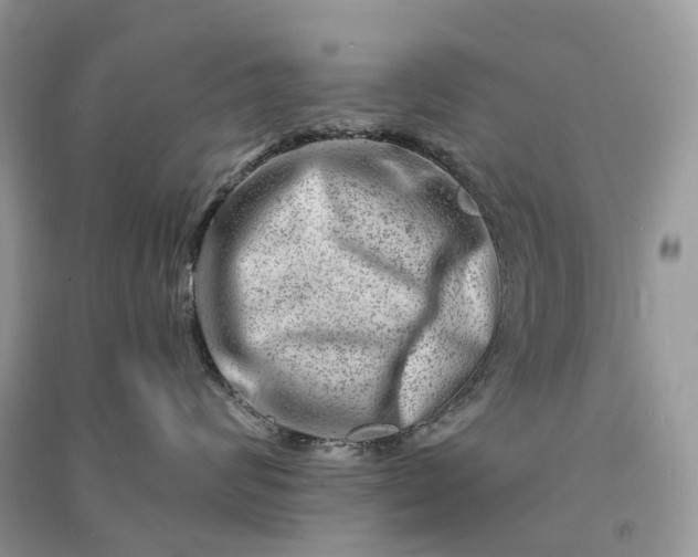 X0000090930624200708131455