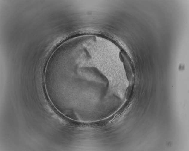 X0000090930625200708131454