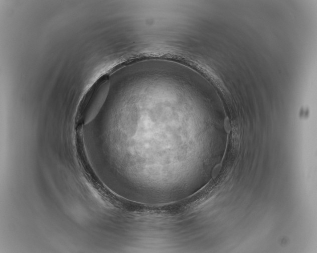 X0000090930626200708131454