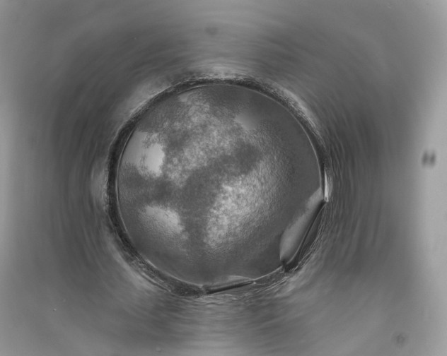 X0000090930627200708131454