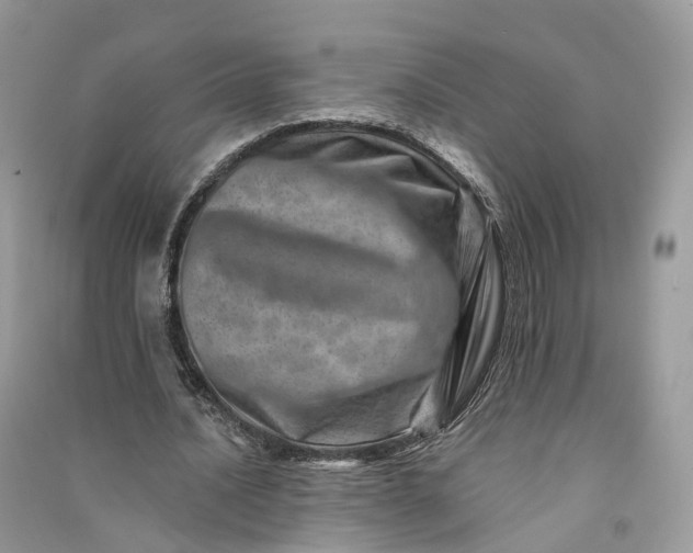 X0000090930628200708131454