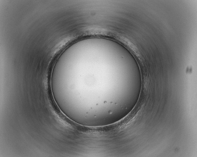 X0000090930629200708131454