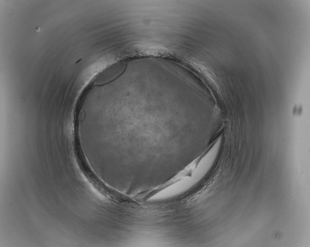 X0000090930630200708131454