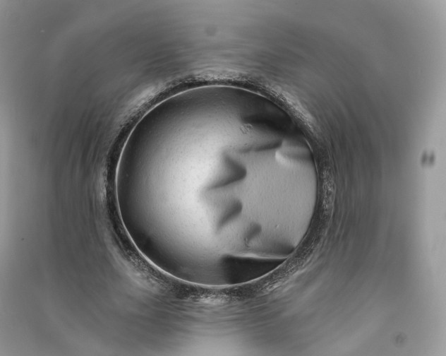 X0000090930631200708131454