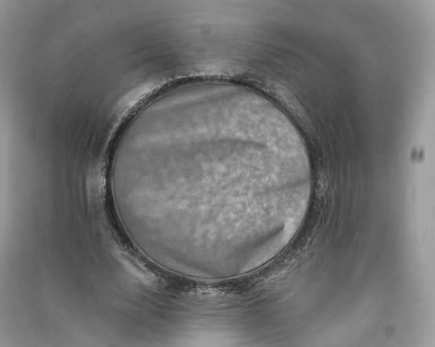 X0000090930632200708131454