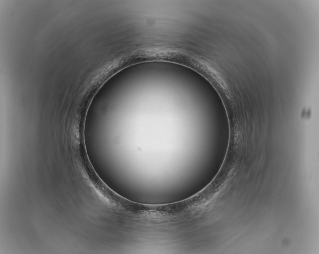 X0000090930633200708131454