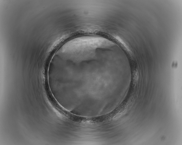 X0000090930634200708131454