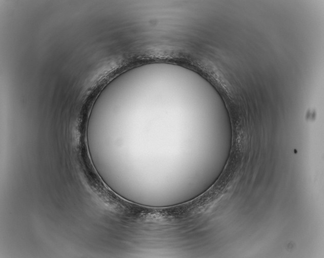 X0000090930635200708131454