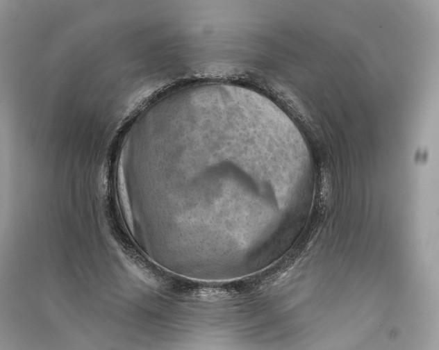 X0000090930636200708131454