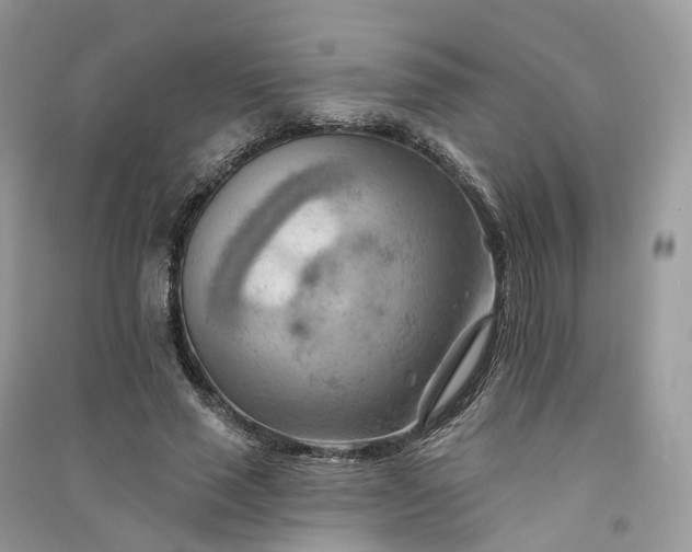 X0000090930637200708131454