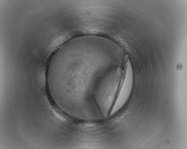 X0000090930638200708131454