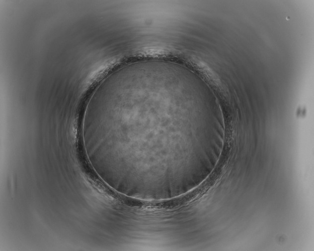 X0000090930640200708131454