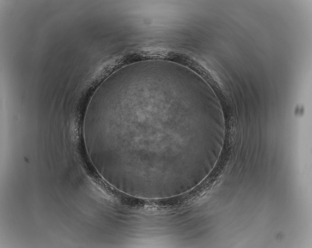 X0000090930641200708131454