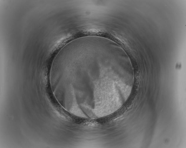 X0000090930642200708131454