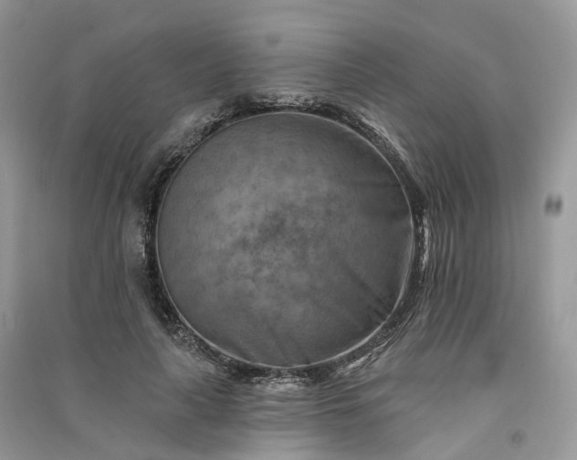 X0000090930643200708131454