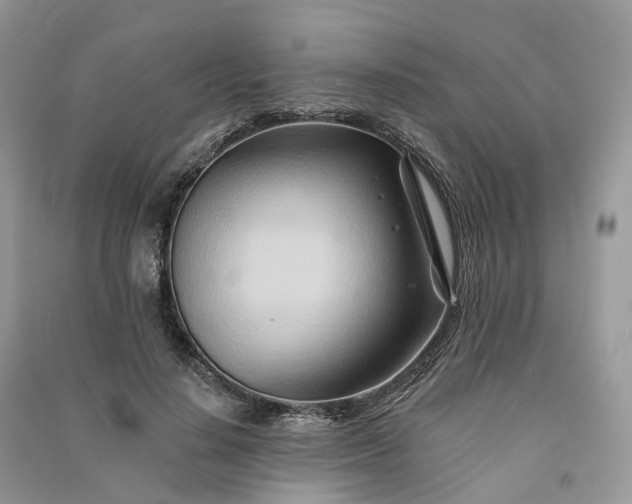 X0000090930644200708131454