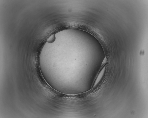 X0000090930645200708131454