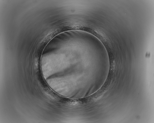 X0000090930646200708131454