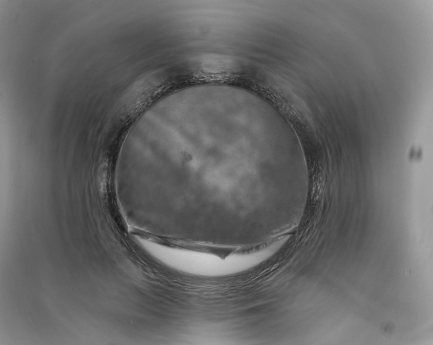 X0000090930647200708131454