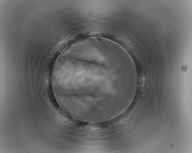 X0000090930648200708131454