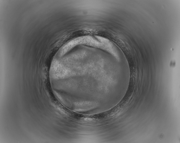 X0000090930649200708131454