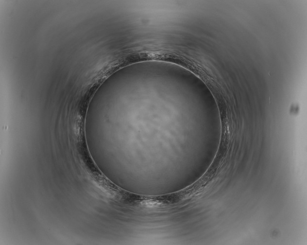 X0000090930650200708131454