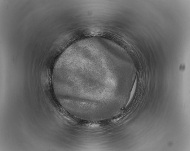 X0000090930651200708131454