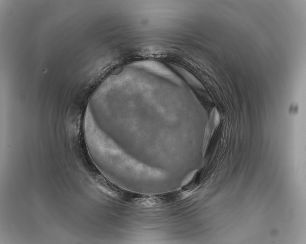 X0000090930652200708131454