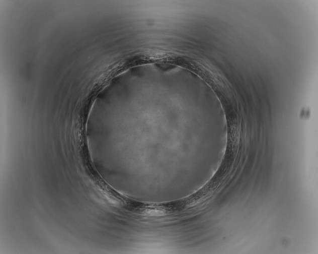 X0000090930653200708131455