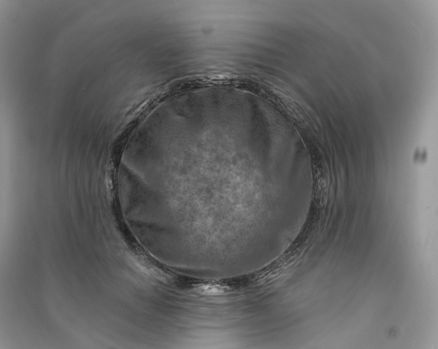 X0000090930654200708131455