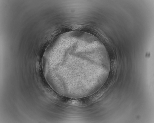 X0000090930655200708131455